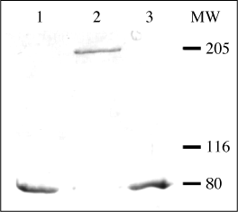 Oxidation/Reduction gel