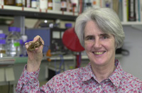 A picture of Belinda Bullard